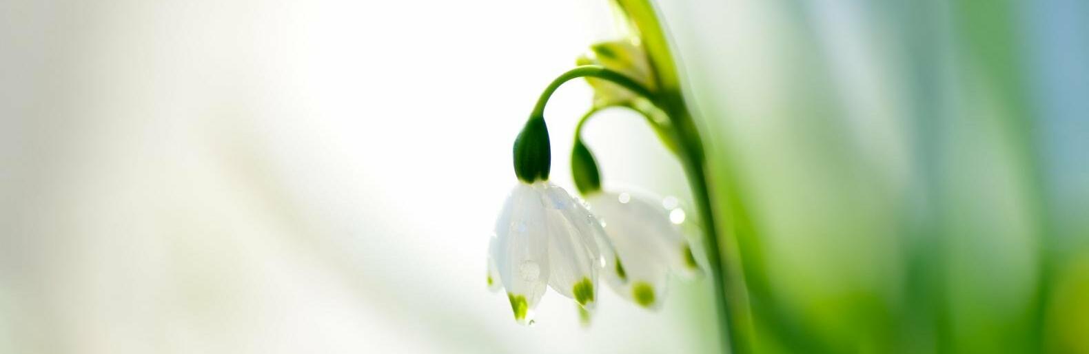 ����: inastana.kz