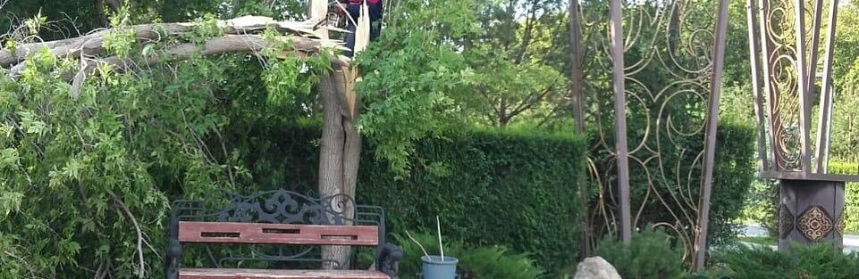 Сильный ветер повредил в районе «Есиль» Нур-Султана более 160 дерев... Сильный ветер повредил в районе «Есиль» Нур-Султана более 160 деревьев, Серик Нуржанов